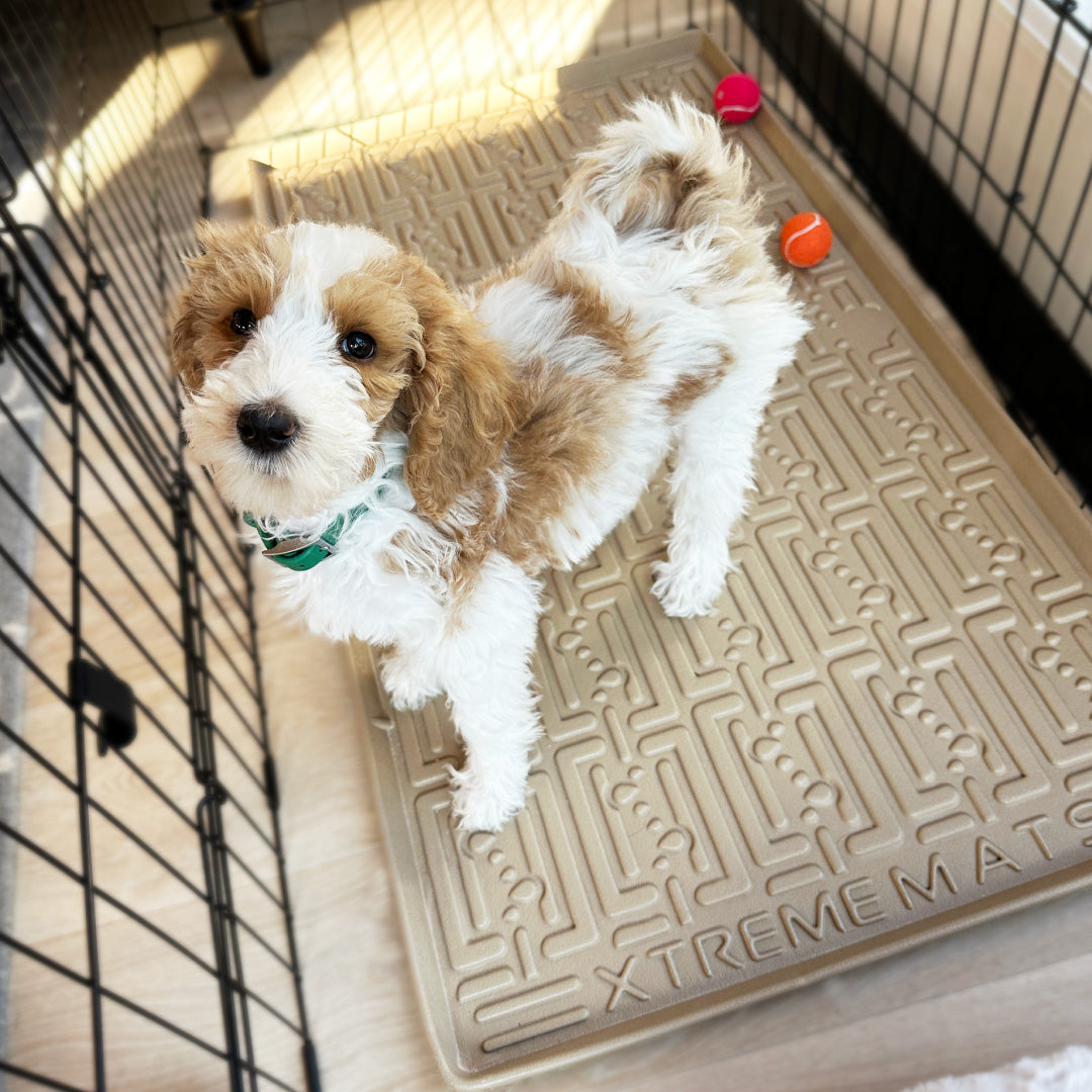 Stylish pet mat tray with pet-safe material and raised edges to trap messes. Ideal for use under food bowls, litter boxes, and in pet crates, with an easy-to-clean surface.